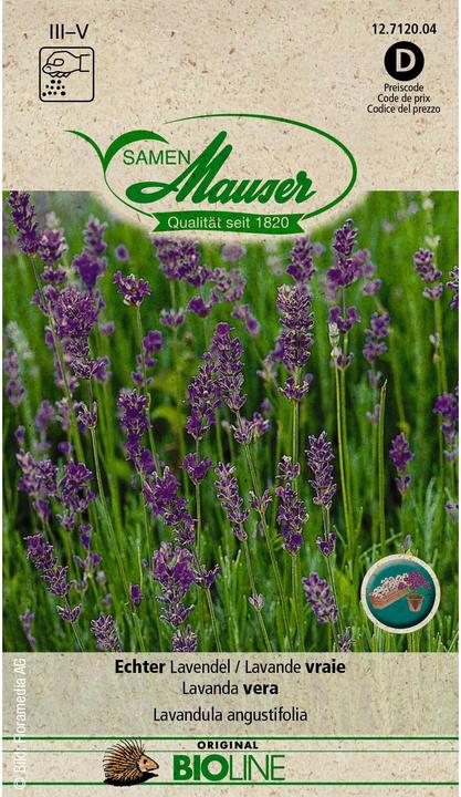 Actual product image Samen Mauser BIO Real Lavender (Herb seeds)