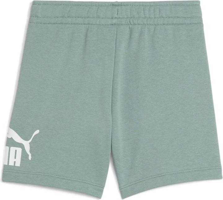 Actual product image Puma ESS No. 1 Logo Shorts TR PS (116)