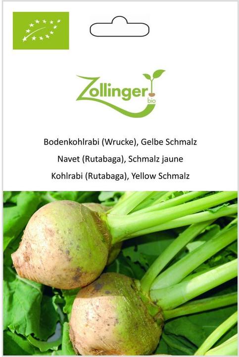Immagine prodotto Zollinger Bio Cavolo rapa (Wrucke), lardo giallo (Semi di verdura)