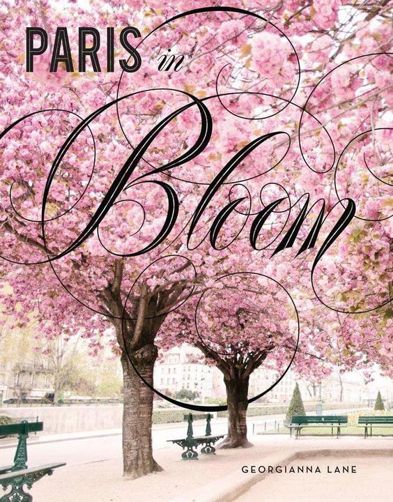 Produktbild Paris in Bloom (Englisch, Lane Georgianna Anna, 2017)