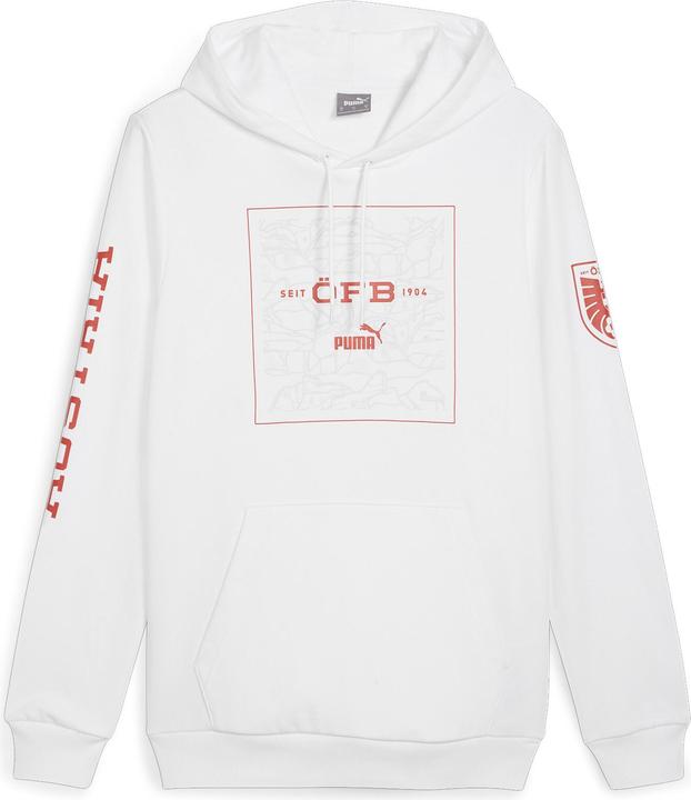 Puma ÖFB Ftblicons Hoody