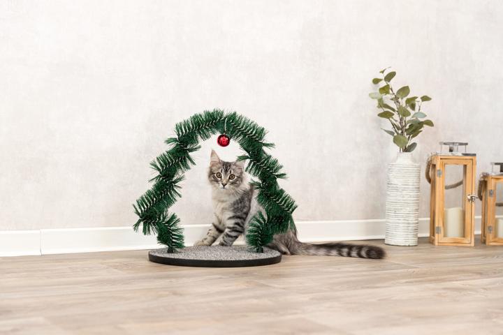 Produktbild Trixie Xmas Massage- und Fellpflegebogen (Katze)