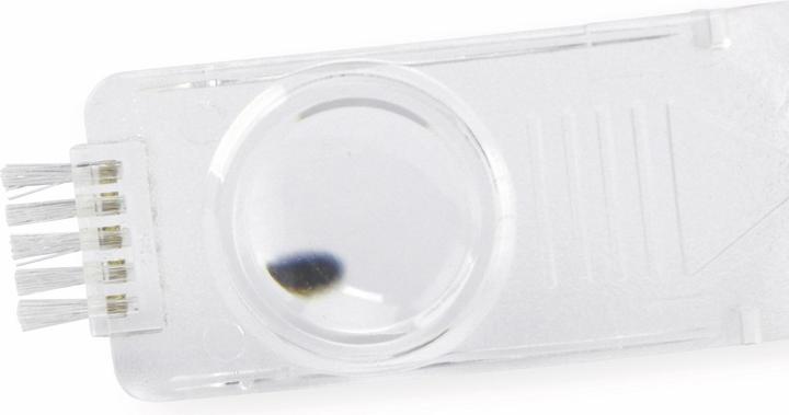 Produktbild Scala Elektrischer Läusekamm