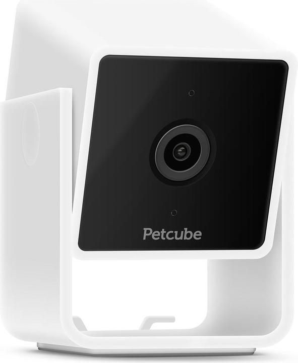 Image du produit Petcube Caméra pour animaux domestiques (Jouets avec herbe à chat)