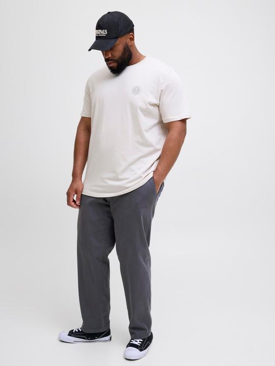 Actual product image Jack & Jones Jpstkane Fctry Fabric2 L2 Chino Pant Pls (W50/L32)