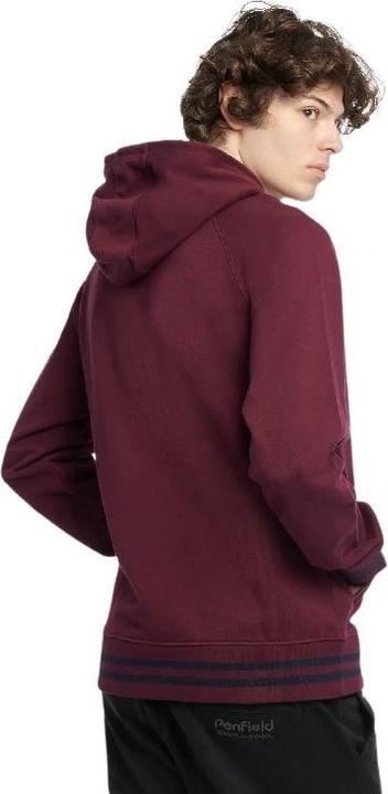 Actual product image Penfield large hoodie bear chet print lb (S)