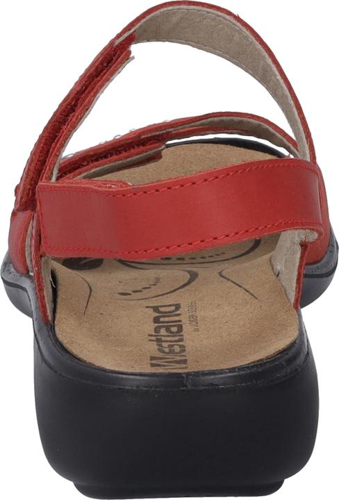 Actual product image Westland 16786-96 (40)