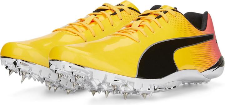 Productafbeelding Puma evoSPEED Electric 13 (42.5)