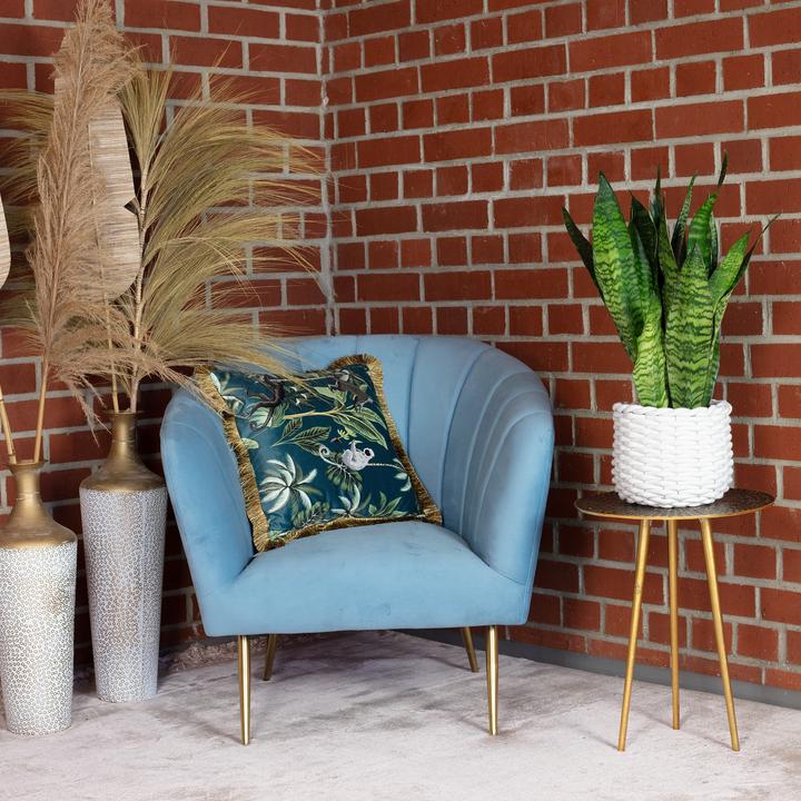 Actual product image Flowerbox Snake plant - height ca. 65 cm, pot-Ø 17 cm - Sansevieria zeylanica (65 cm)