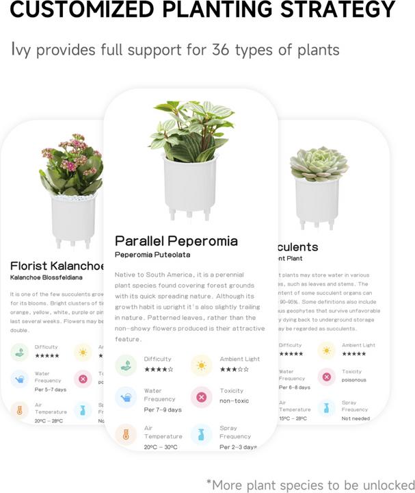 Image du produit Plantsio Ivy Smart Planter