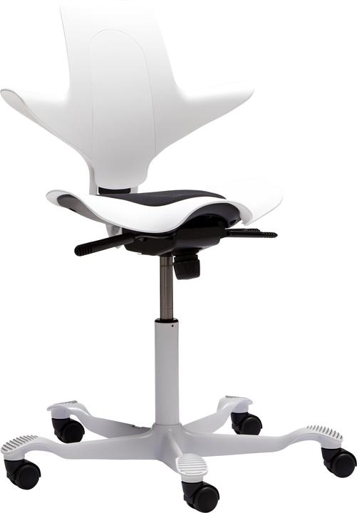 Produktbild HAG Capisco Puls 8010