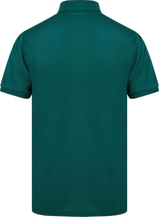 Image du produit Henbury Polo (3XL)
