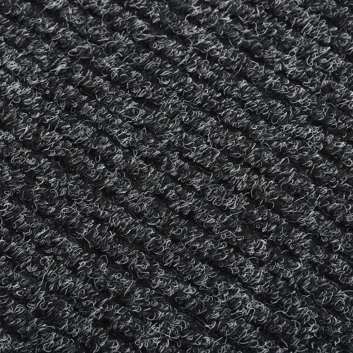 Immagine prodotto VidaXL Kasha (100 x 400 cm)