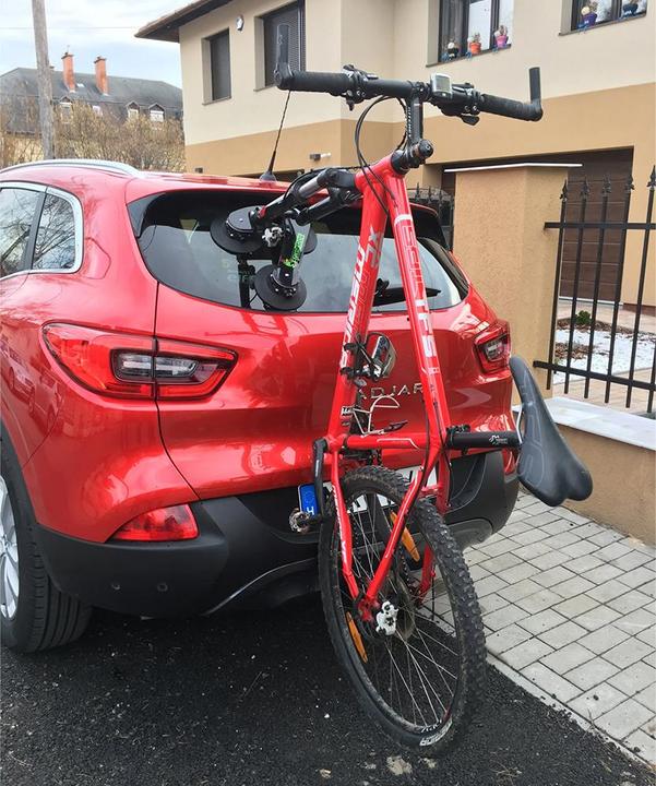 Actual product image TreeFrog Bike Rack Pro 1
