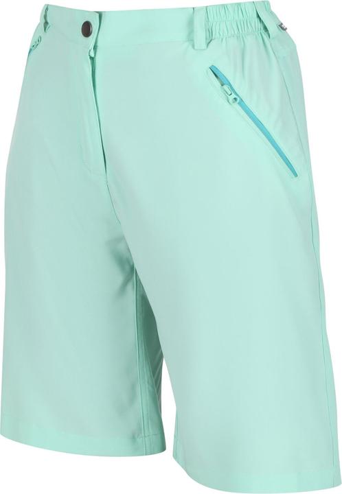 Actual product image Regatta Womens/Ladies Xert Stretch Shorts (34)