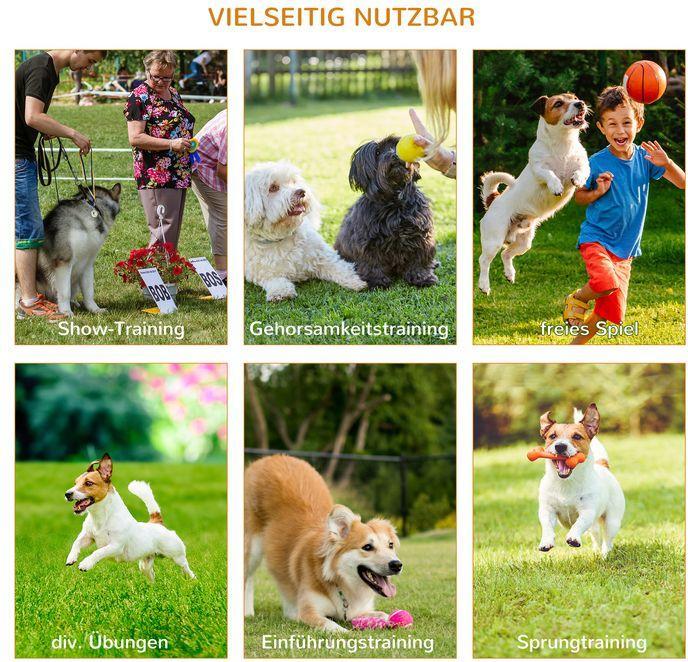 Produktbild Swisshandel24 Hunde Agility Set 3-tlg. inklusive Tasche Weiss+Gelb (Agility)