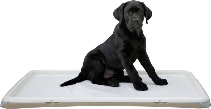 Actual product image Kerbl Puppy toilet XL, matching pads, puppies sick and older dogs, 60x90cm (Dog)