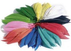 Actual product image Folia Indian feathers, 10 g, assorted colours