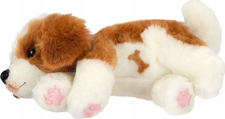 Actual product image Cobi Dog with transport box (32.70 cm)