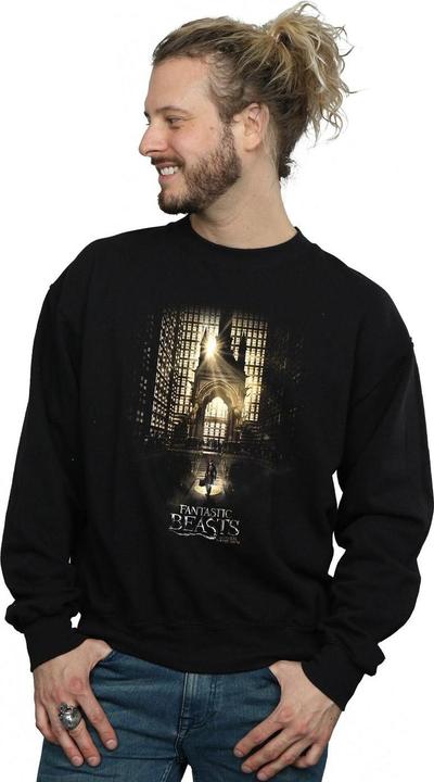 Produktbild Fantastic Beasts Movie Poster Sweatshirt (L)