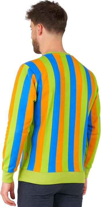 Actual product image OppoSuits – Sesamstrasse Bert Pullover (M)