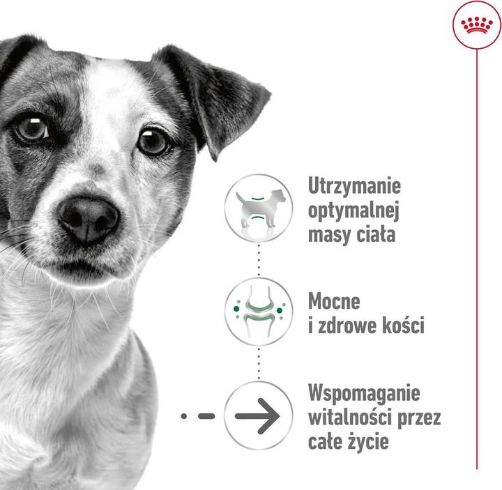 Image du produit Royal Canin Aliments secs pour adultes (Senior, 1 pcs, 3500 g)