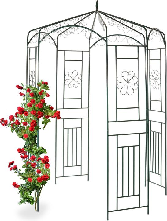Image du produit Relaxdays Tuteur pour rosiers (160 cm, 160 cm)