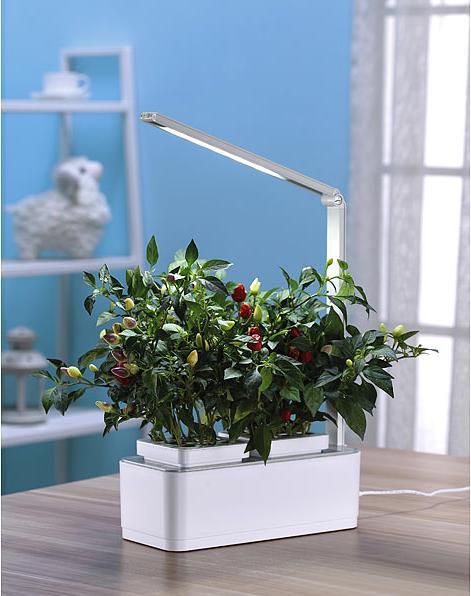 Image du produit Carlo Milano Kit de 2 systèmes intelligents de culture de plantes, LEDs, minuterie, 1,5 L