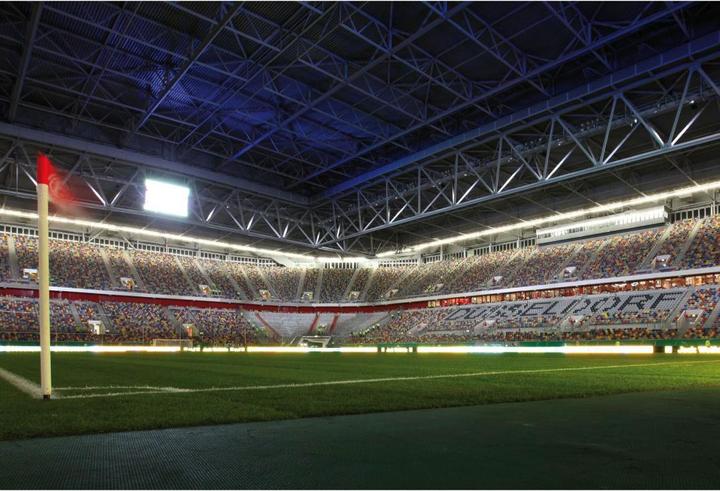 Actual product image Fortuna Düsseldorf Happy suits you (384 x 260 cm)