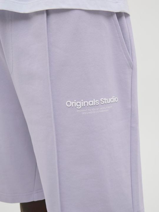 Actual product image Jack & Jones Jpstkane Vesterbro Sweat Shorts Lng Sn (XXL)