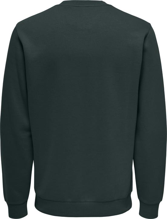 Actual product image Only & Sons Onsceres Crew Neck Noos (XXL)