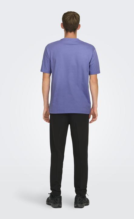 Immagine prodotto Only & Sons T-shirt a girocollo loose fit (L)