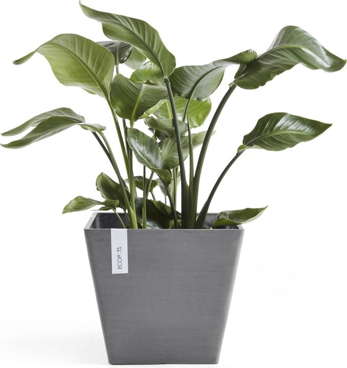 Actual product image Ecopots Rotterdam (40 cm)