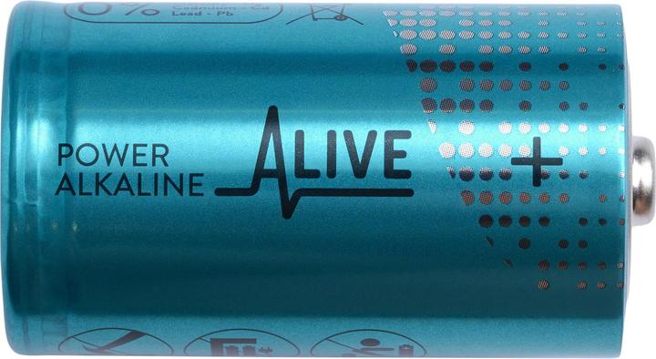 Actual product image Alkaline battery (2 pcs., D, 14000 mAh)