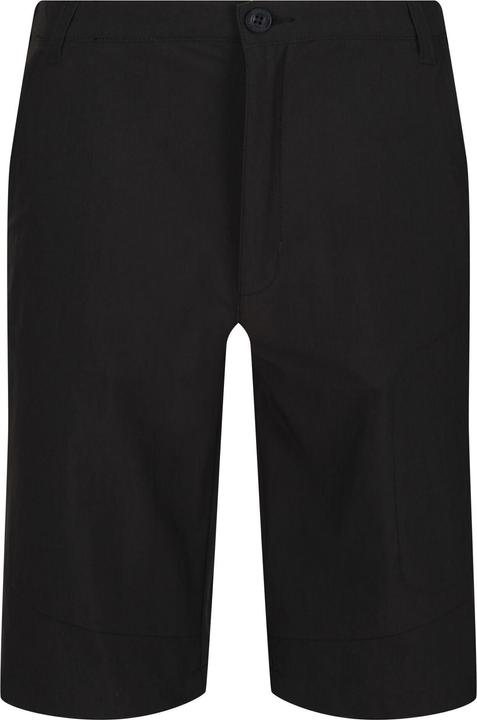 Actual product image Regatta Highton Shorts Hiking (48 D)