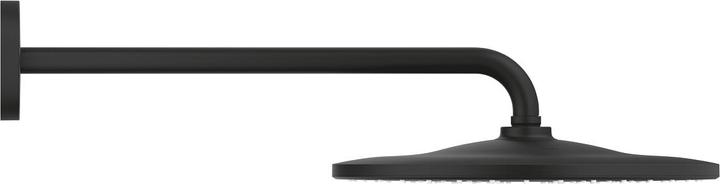 Image du produit Grohe Ensemble de douche de tête RAINSHOWER MONO 310 avec bras de douche 422mm phantom black