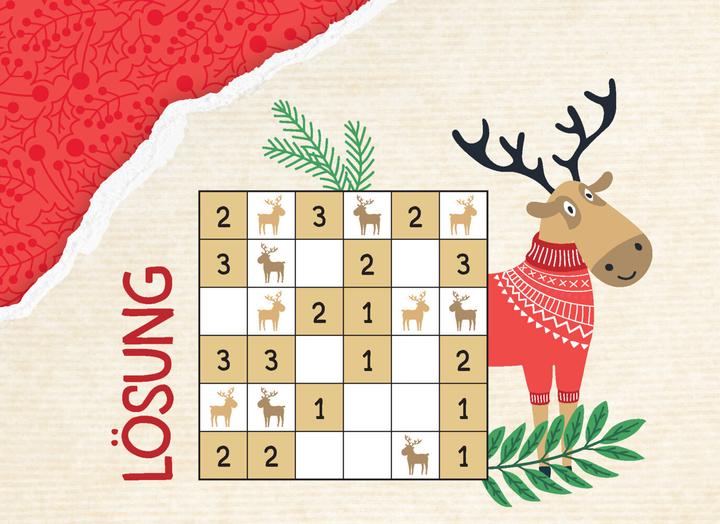 Image du produit 24 devinettes de l'Avent | La distraction parfaite pour oublier le stress de Noël