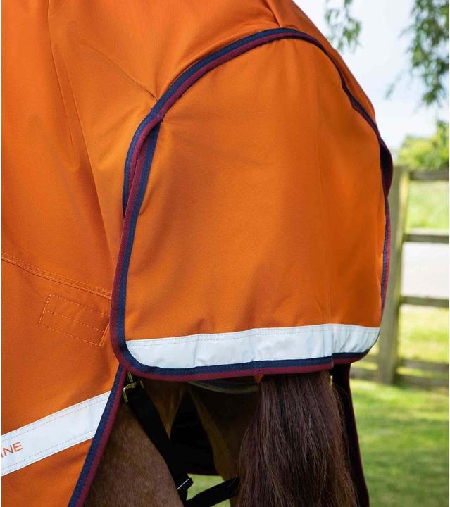Image du produit Premier Equine Buster Hardy 200 g (191 cm)