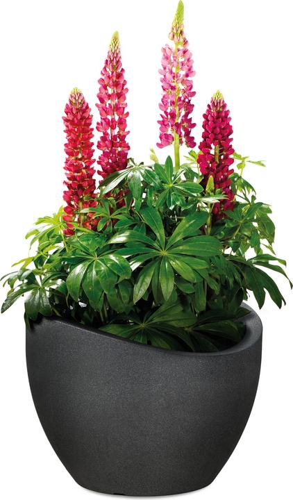 Actual product image Scheurich Wave Globe (39.50 cm)