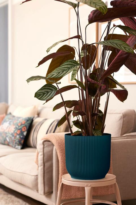 Image du produit Elho Vibes (29.50 cm)