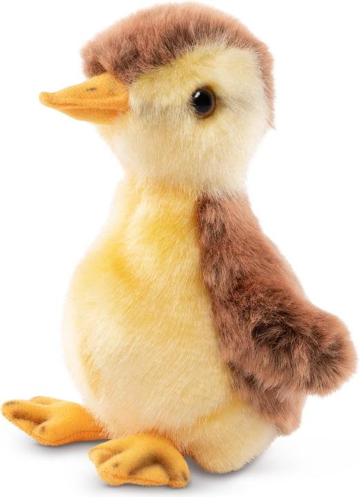 Actual product image Living Nature Stockentenküken