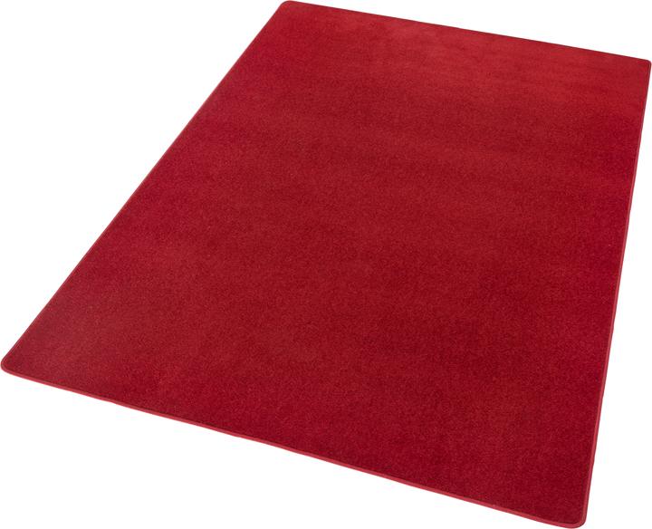 Actual product image Hanse Home Fancy (150 x 80 cm)