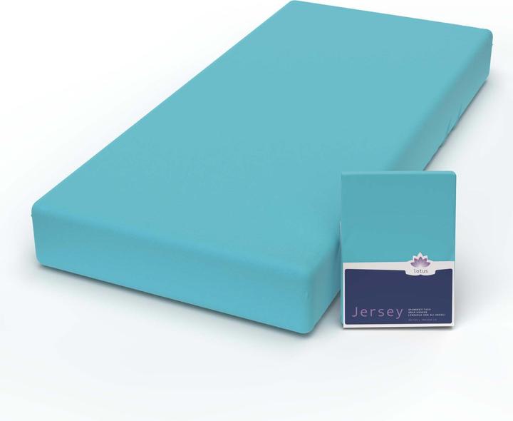 Image du produit Lotus Bettwaren Jersey Fix Comfort (120 x 200 cm)