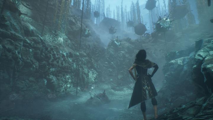 Actual product image Bandai Namco Clair Obscur: Expedition 33 (PS5, DE)