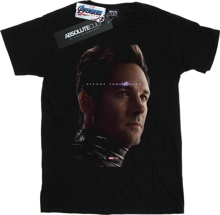 - T-shirt AVENGERS ENDGAME AVENGE THE FALLEN ANT-MAN - Homme (XXL)