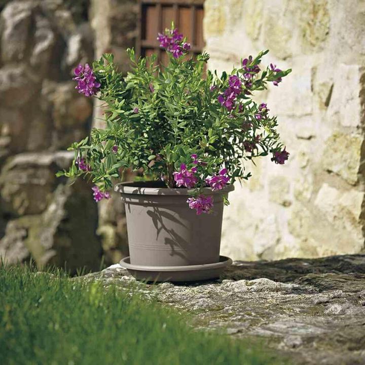 Actual product image Euro3plast Planter (55 cm)