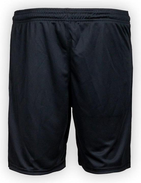 Actual product image Nike Park 20 Knit Short (L)