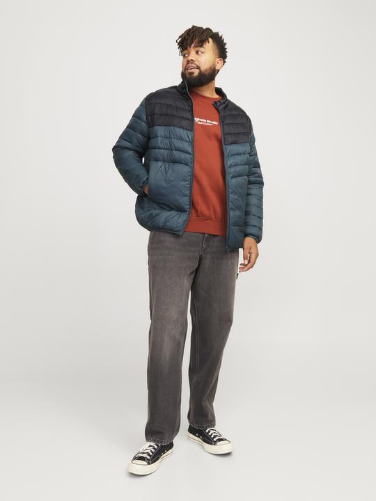 Image du produit Jack & Jones Jjesprint Puffer Collar Noos Pls (5XL)