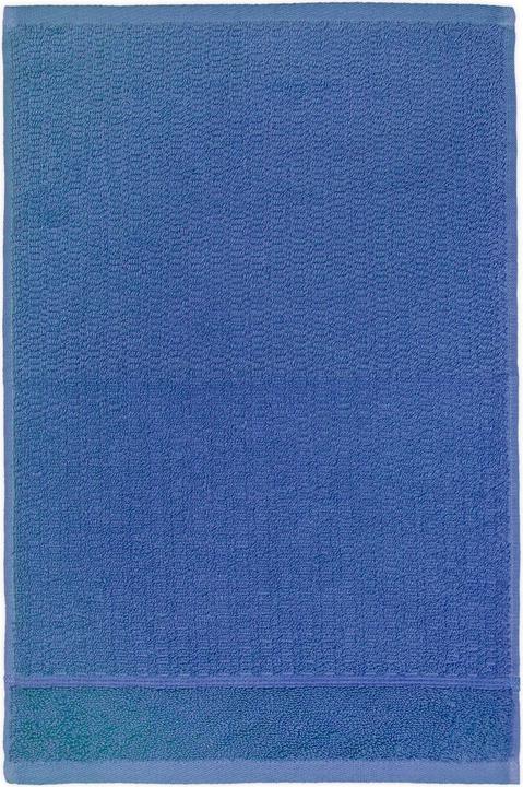 cornflower