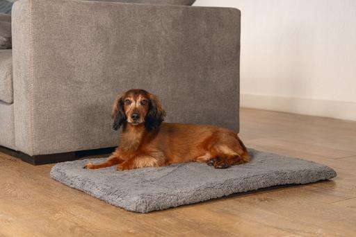 Productafbeelding Beeztees Ito (Hond)